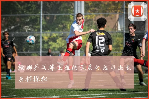 杨娜乒乓球生涯的深度对话与成长历程探秘