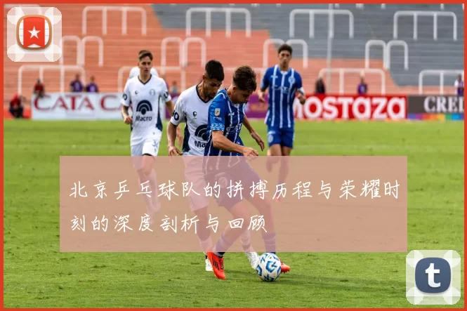 北京乒乓球队的拼搏历程与荣耀时刻的深度剖析与回顾