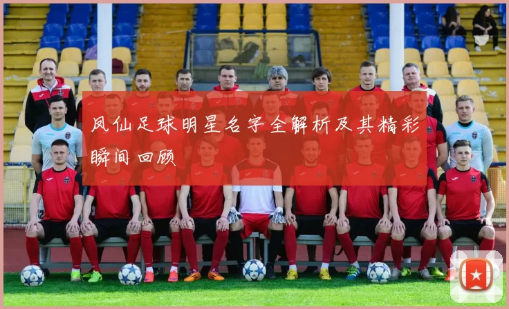 凤仙足球明星名字全解析及其精彩瞬间回顾