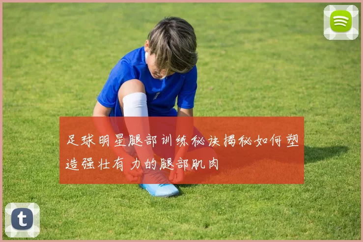 足球明星腿部训练秘诀揭秘如何塑造强壮有力的腿部肌肉