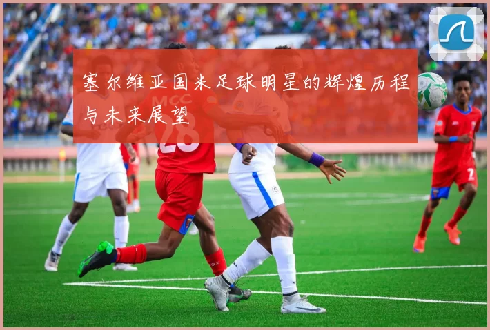 塞尔维亚国米足球明星的辉煌历程与未来展望