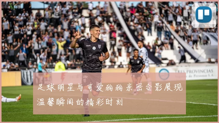 足球明星与可爱狗狗亲密合影展现温馨瞬间的精彩时刻