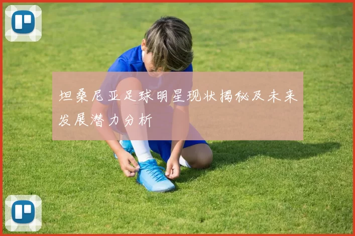 坦桑尼亚足球明星现状揭秘及未来发展潜力分析