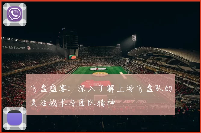 飞盘盛宴：深入了解上海飞盘队的灵活战术与团队精神