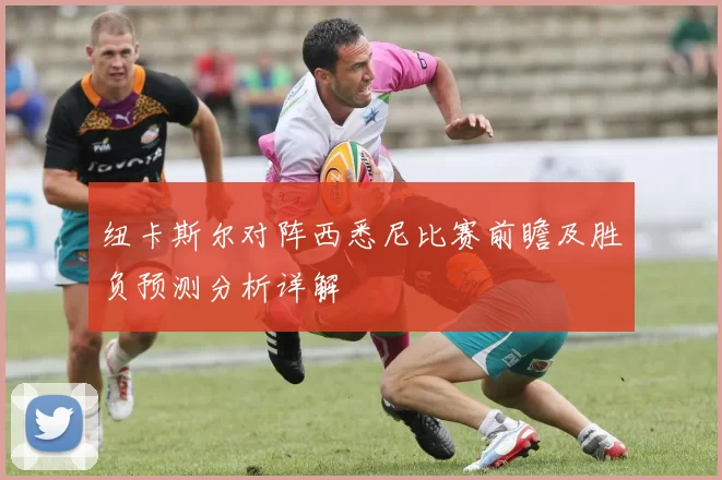 纽卡斯尔对阵西悉尼比赛前瞻及胜负预测分析详解