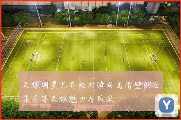 足球明星巴乔经典瞬间高清壁纸合集尽享足球魅力与风采