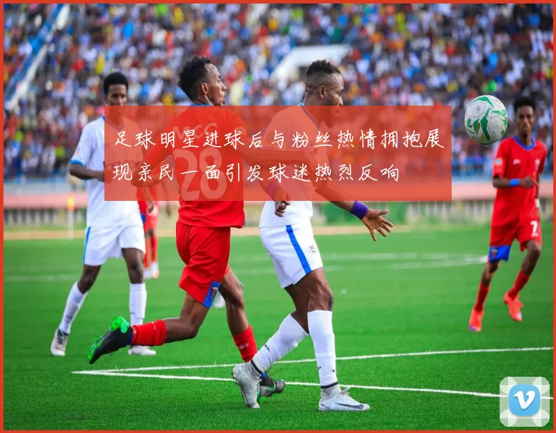 足球明星进球后与粉丝热情拥抱展现亲民一面引发球迷热烈反响