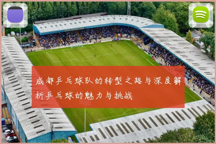 成都乒乓球队的转型之路与深度解析乒乓球的魅力与挑战