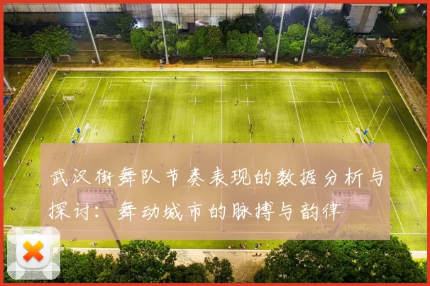 武汉街舞队节奏表现的数据分析与探讨：舞动城市的脉搏与韵律