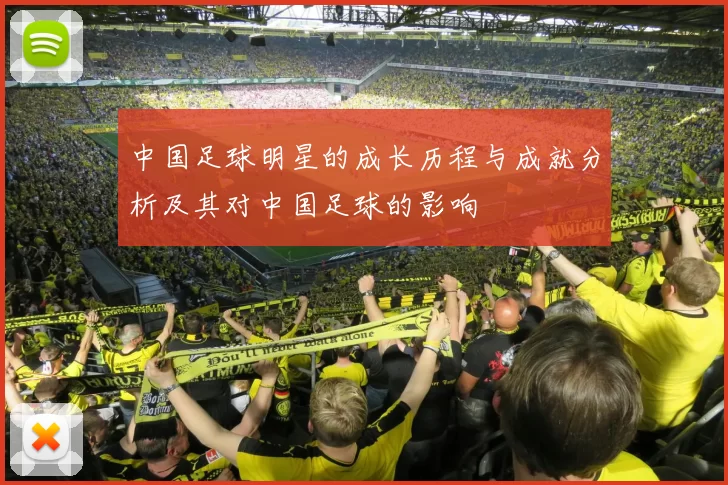 中国足球明星的成长历程与成就分析及其对中国足球的影响