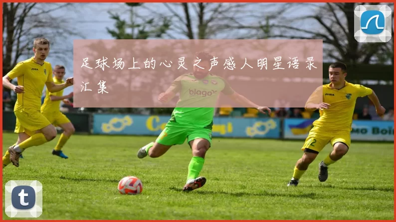 足球场上的心灵之声感人明星语录汇集