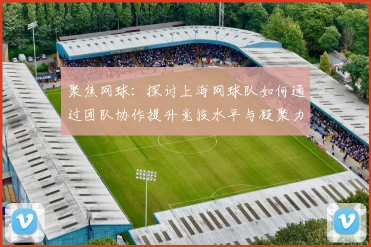 聚焦网球：探讨上海网球队如何通过团队协作提升竞技水平与凝聚力