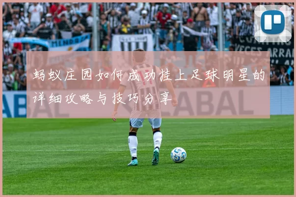 蚂蚁庄园如何成功挂上足球明星的详细攻略与技巧分享