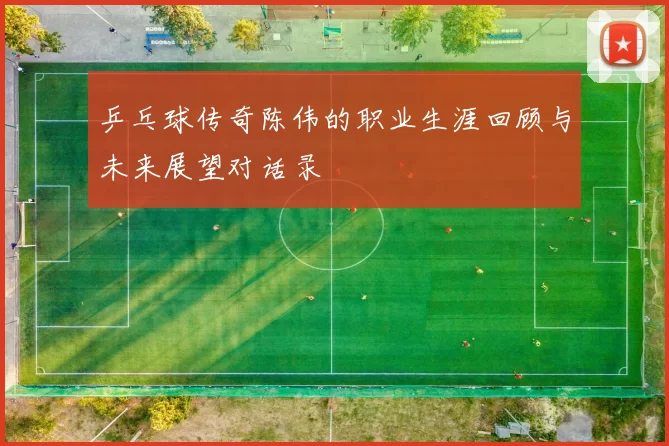 乒乓球传奇陈伟的职业生涯回顾与未来展望对话录