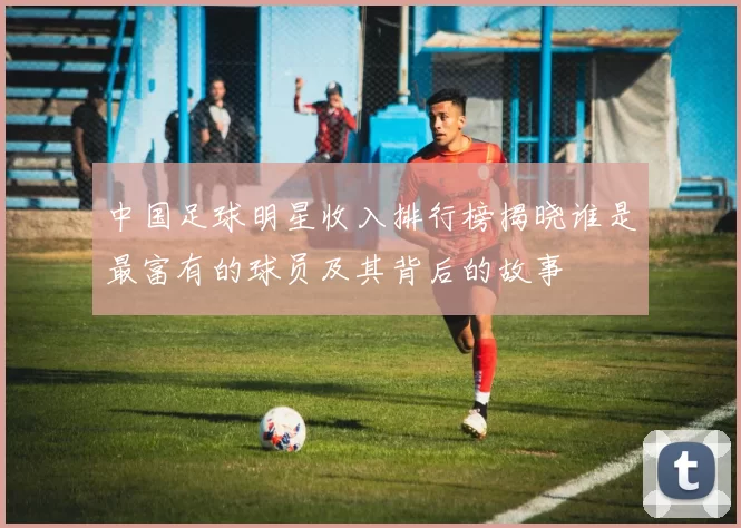 中国足球明星收入排行榜揭晓谁是最富有的球员及其背后的故事