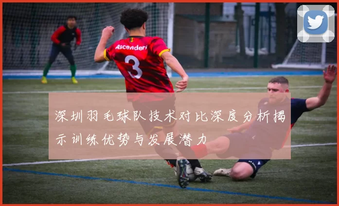 深圳羽毛球队技术对比深度分析揭示训练优势与发展潜力