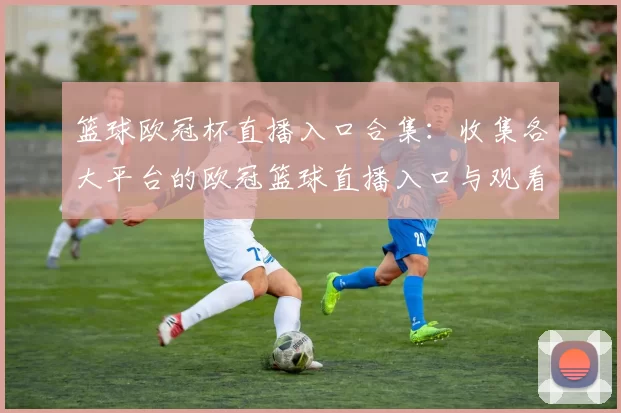 篮球欧冠杯直播入口合集：收集各大平台的欧冠篮球直播入口与观看方式