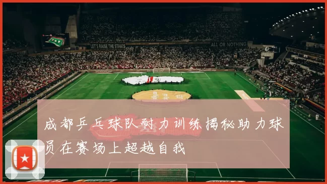 成都乒乓球队耐力训练揭秘助力球员在赛场上超越自我