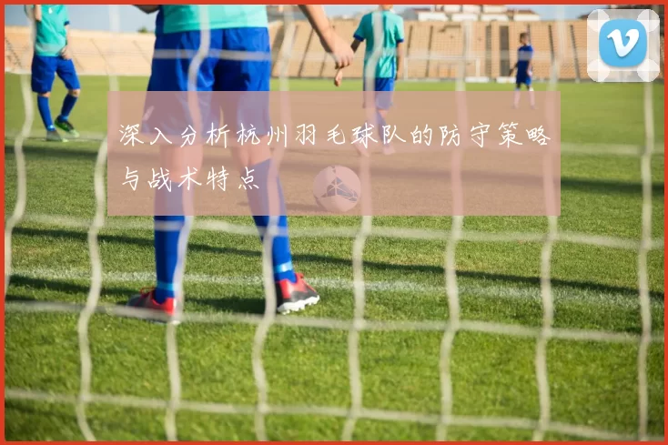 深入分析杭州羽毛球队的防守策略与战术特点