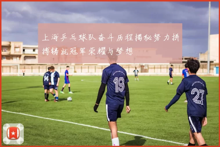 上海乒乓球队奋斗历程揭秘努力拼搏铸就冠军荣耀与梦想