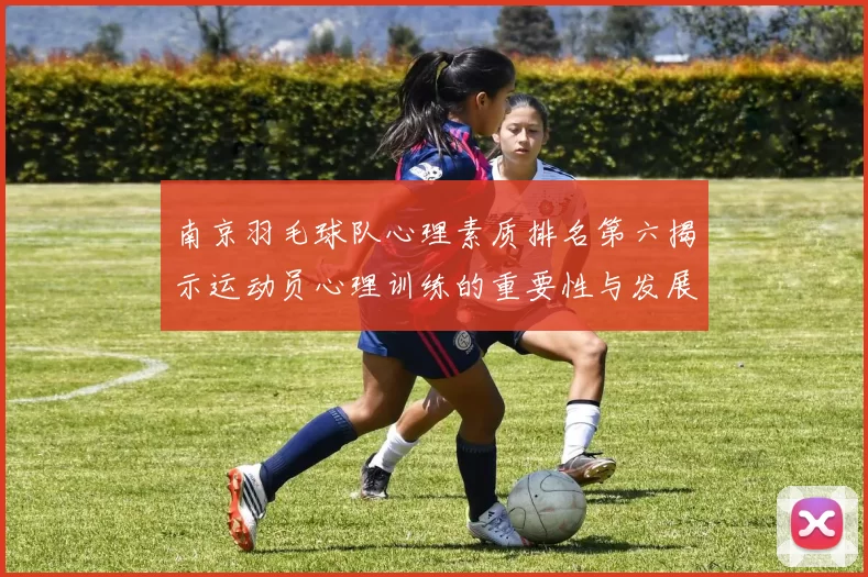 南京羽毛球队心理素质排名第六揭示运动员心理训练的重要性与发展潜力