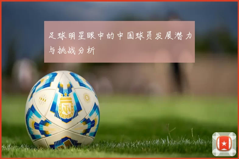 足球明星眼中的中国球员发展潜力与挑战分析