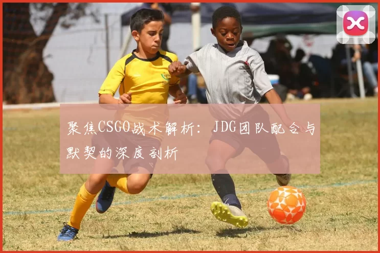 聚焦CSGO战术解析：JDG团队配合与默契的深度剖析