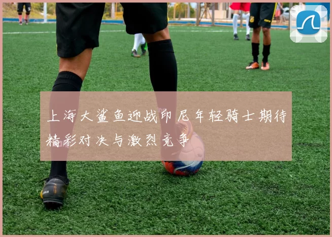 上海大鲨鱼迎战印尼年轻骑士期待精彩对决与激烈竞争