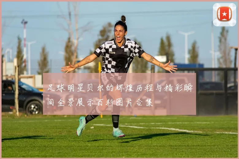 足球明星贝尔的辉煌历程与精彩瞬间全景展示百科图片合集