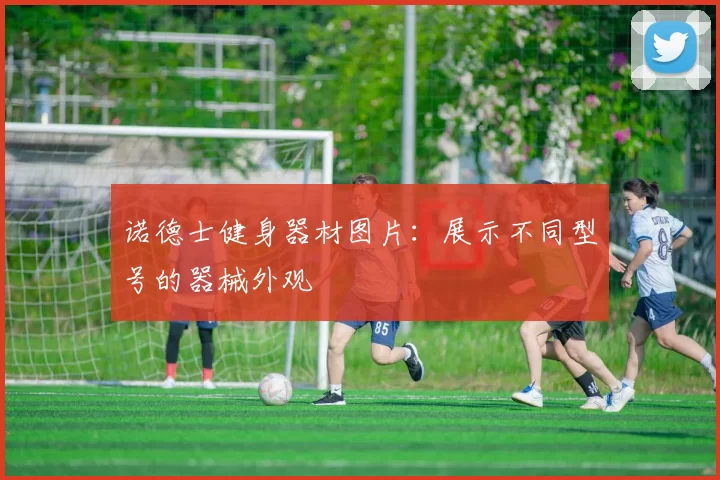 诺德士健身器材图片：展示不同型号的器械外观