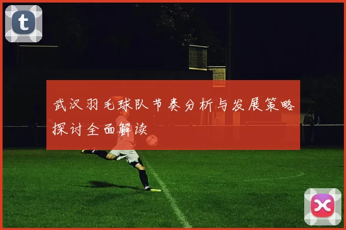 武汉羽毛球队节奏分析与发展策略探讨全面解读