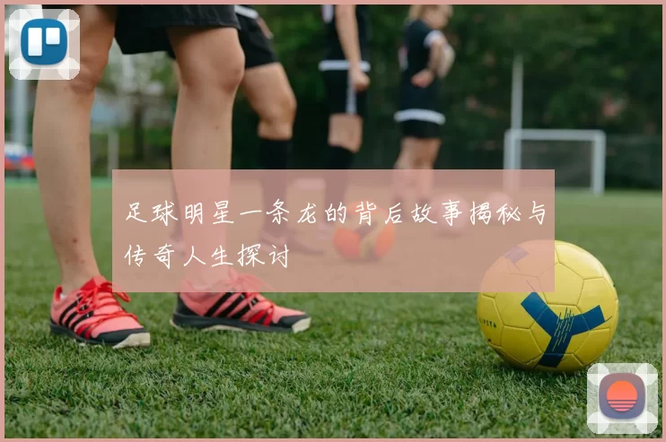 足球明星一条龙的背后故事揭秘与传奇人生探讨