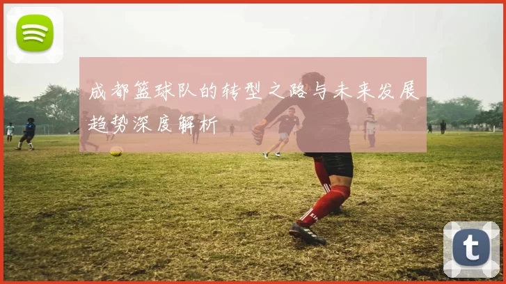 成都篮球队的转型之路与未来发展趋势深度解析
