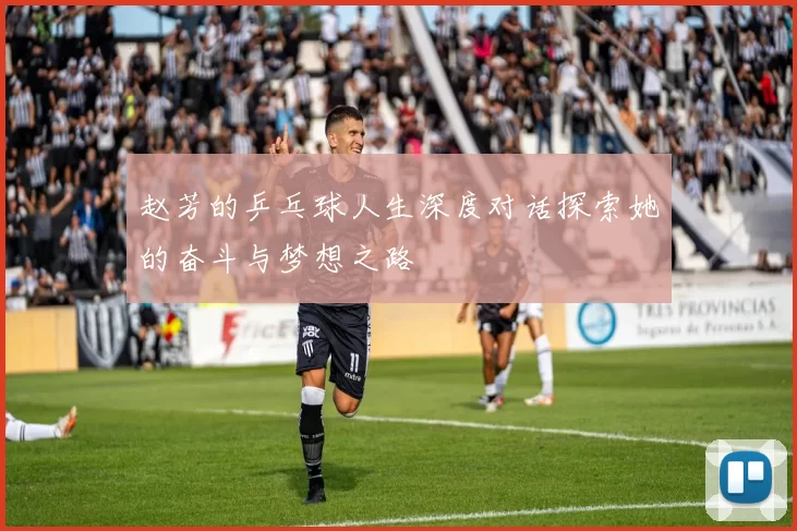 赵芳的乒乓球人生深度对话探索她的奋斗与梦想之路